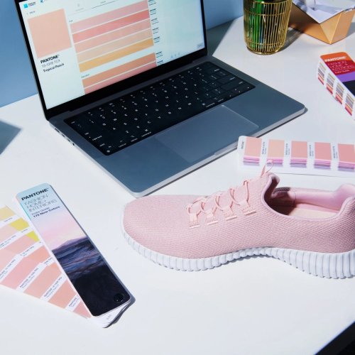 PANTONE FHI COLOR GUIDE