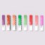 PANTONE Portable Guide Studio