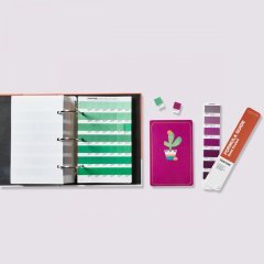 PANTONE Solid Color Set (Formula Guide + Solid Chips)