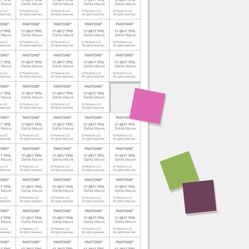 PANTONE TPG Sheet